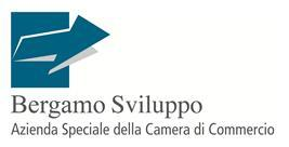 Bergamo Sviluppo